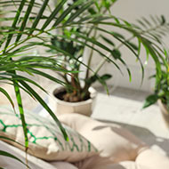 Aménagez votre intérieur