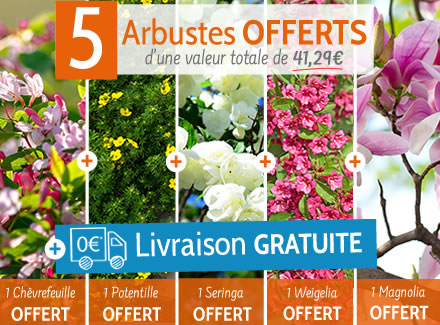 Vos 5 arbustes offerts et la livraison à 0€